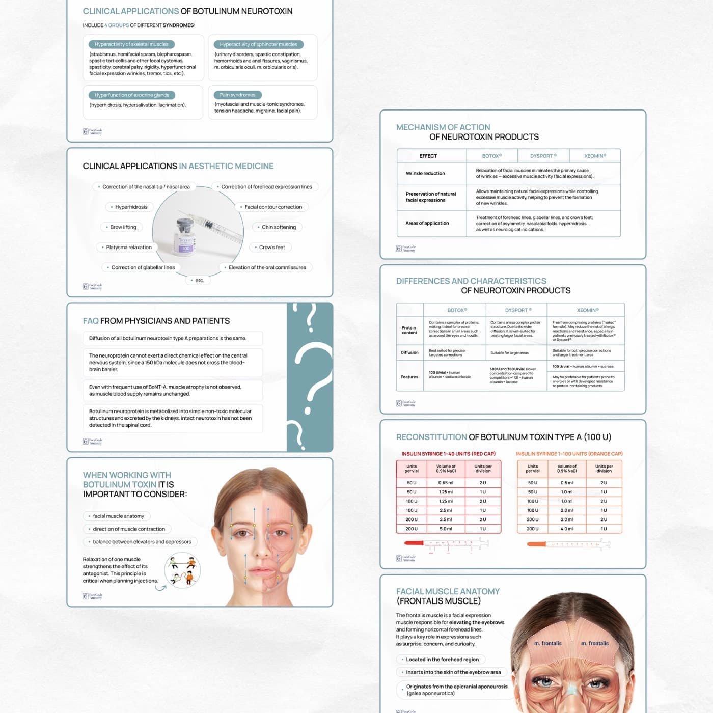 Catalogs & Presentations example 5